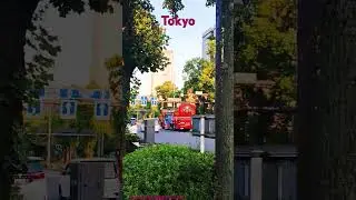 #beautifulbus for #tokyoview #beautifulcity #tokyo #japan #travellingsoldier #japantrip