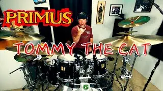 Primus - Tommy the Cat [Drum Cover]