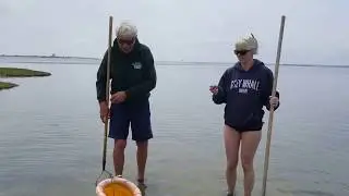 Raking for clams on Sedge Island, Island Beach State Park