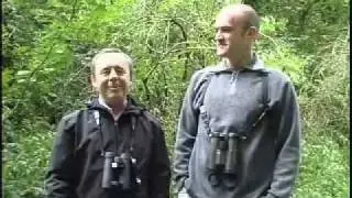 Пол Стэнклифф и Ник Моран из BTO рассказывают о миграции и своем новом еженедельном блоге Autumnwatch
