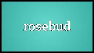 Rosebud Meaning