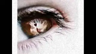 Eels - Selective Memory