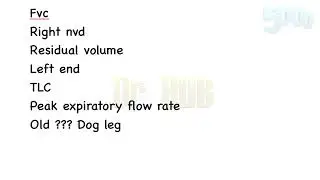 Flow volume Graph aka Loop