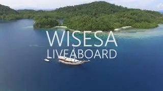 wisesa raja ampat liveaboard dive or snorkeling cruises indonesia