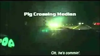 Cobra Outruns State Troopers