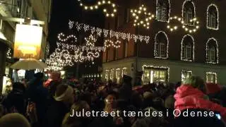 Juletr&aelig;