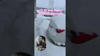 Heavy Snowfall in Canada #shorts #fypシ゚viral #viral #snow #snowfall #canada #brampton #ytshorts