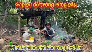 BẤT NGỜ..khi nhìn thấy căn chòi SỤP ĐỔ của bà lão, gặp SỰ CỐ lạc vào rừng sâu. Tập 576