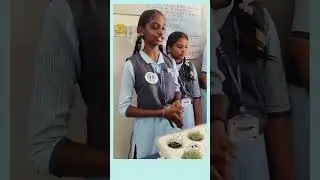 A #science  #exhibition 2025