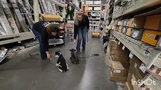 Onyx & Oreo: First Time Store Exposure 
