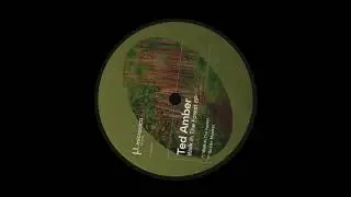 Ted Amber - Walk In The Forest [MICRDIG006]
