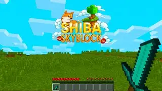 Playing On The Best SKYBLOCK SERVER In 2021 | Minecraft Skyblocks