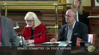 WATCH: Harris County GOP Chair Cindy Siegel Senate Testimony