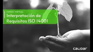 Interpretaci&oacute;n de Requisitos ISO 14001:2015