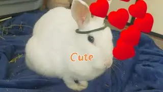 かわい子ちゃんに変身♪