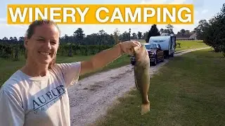 Secret RV spot : Auburn Alabama | Harvest Host | Hodges Vineyards!