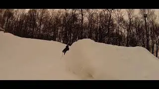 Wisp Resort adventure