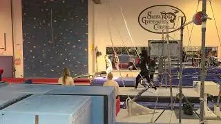 Hazel vault