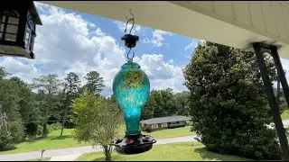 LUJII Hand Blown Glass 36 Fluid Ounces Hummingbird Feeder Demo