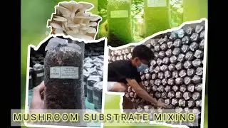 Mushroom Substrate preparation: Mushroom substrate mixing