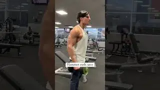 arms workout no equipment l arms workout for beginners #shortvideo #shorts #arms