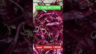 341 మిర్చి ధరలు 22500..