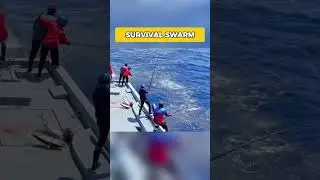 Survival Swarm #viral #english #facts #explaination #thomasstudio