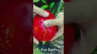 fruit video #shorts