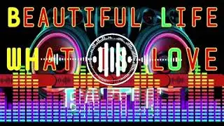 BEAUTIFUL LIF | WHAT IS LOVE #musicremix #satisfying #seo