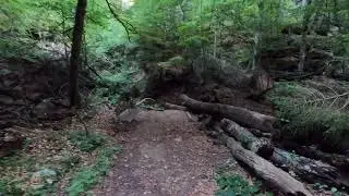 Walking from the rock Perekop until Amphitheater Breechkaul in Berdorf in Luxembourg part 1