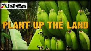 Indra - Plant Up The Land [Official Video 2023]