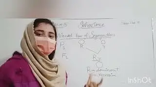 Mendel Law of Segregation | 10th Class Biology | Chapter 15 | Haytham Academy