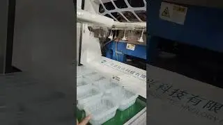 Plastic Injection Molding PP Food Container Thermoforming Machine