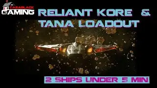 Star Citizen Reliant Kore and Tana Beginner Friendly PvE Loadout