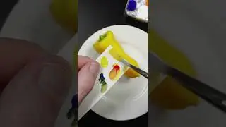 Matching the Color of a Yellow Pepper With Acrylics