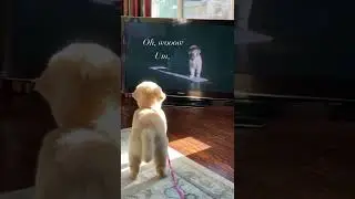oh, wooow 🤣🤣🤣