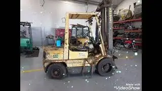 HYSTER   XM  55