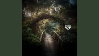 Stone Road