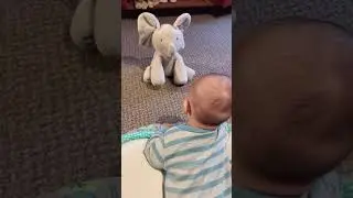 Peek-A-Boo Plush Elephant Toy