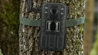 Kamera obserwacyjna Redleaf RD6300 LTE z funkcją fotopułapki