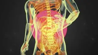 146 Hz Abdominal Inflammation Relief Rife Frequency | Pure Isochronic Binaural Beats Healing Sounds