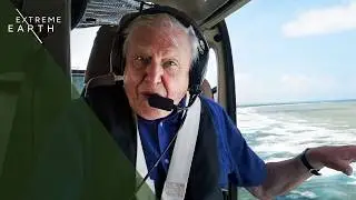 Odkrywanie dzikich granic Ziemi z Davidem Attenborough (film dokumentalny 4K)