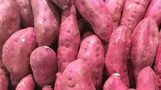 भुनी शकरकंद 😍 | सिलबट्टे की देसी चटनी के साथ | Winter Special Snack#ytshorts #desi rasoi by anju 