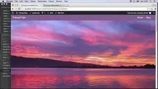 WordPress Theme Single blog post template