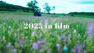 My 2025 In Film