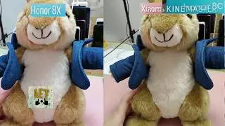 Huawei honor 8X vs Xiaomi mi 8 lite/youth Camera test
