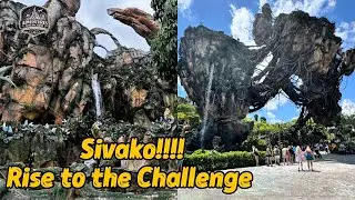 Animal Kingdom | Walk from Pandora to Yak & Yeti