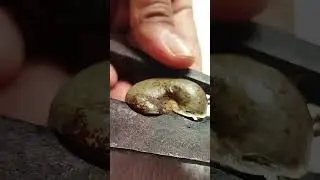 EASY WAY TO REMOVE/PEEL CASHEW NUTS I cashew Cutting Skills #shorts
