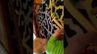 Floppy bridge