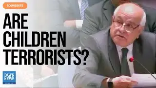 Palestine Confronts Israel At UNSC: You Consider All Our People &lsquo;Terrorists'? | Dawn News English
